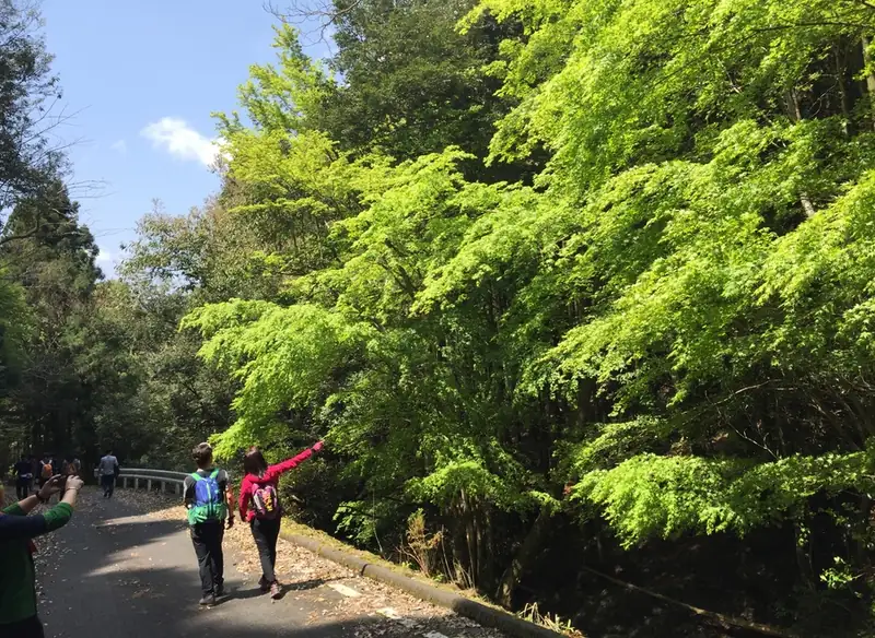 부산 출발 1박 2일, 대마도 오션뷰 호텔에서 즐기는 온천욕과 BBQ 특식