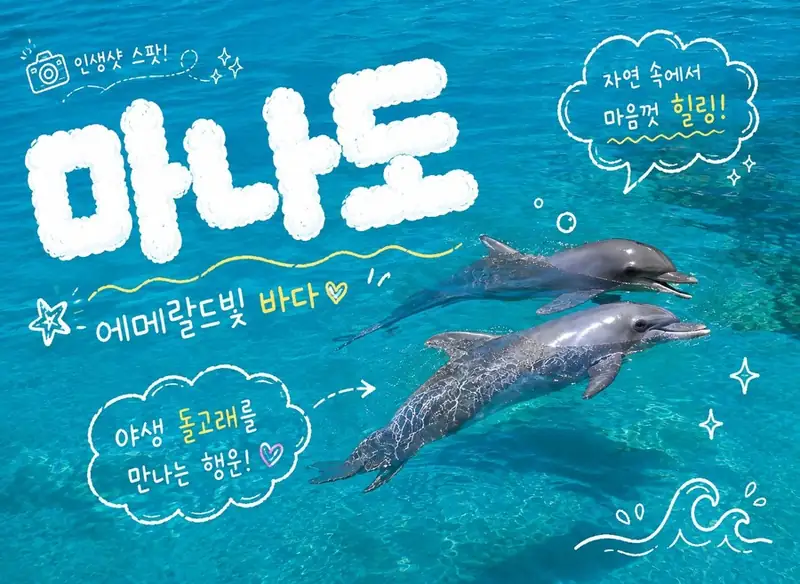 인도네시아 마나도 5일: 스노클링부터 화산 온천까지, 미식과 힐링의 완벽 조화!