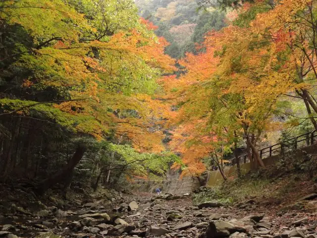 부산에서 가장 가까운 일본! 1박 2일 대마도 힐링 여행 가이드